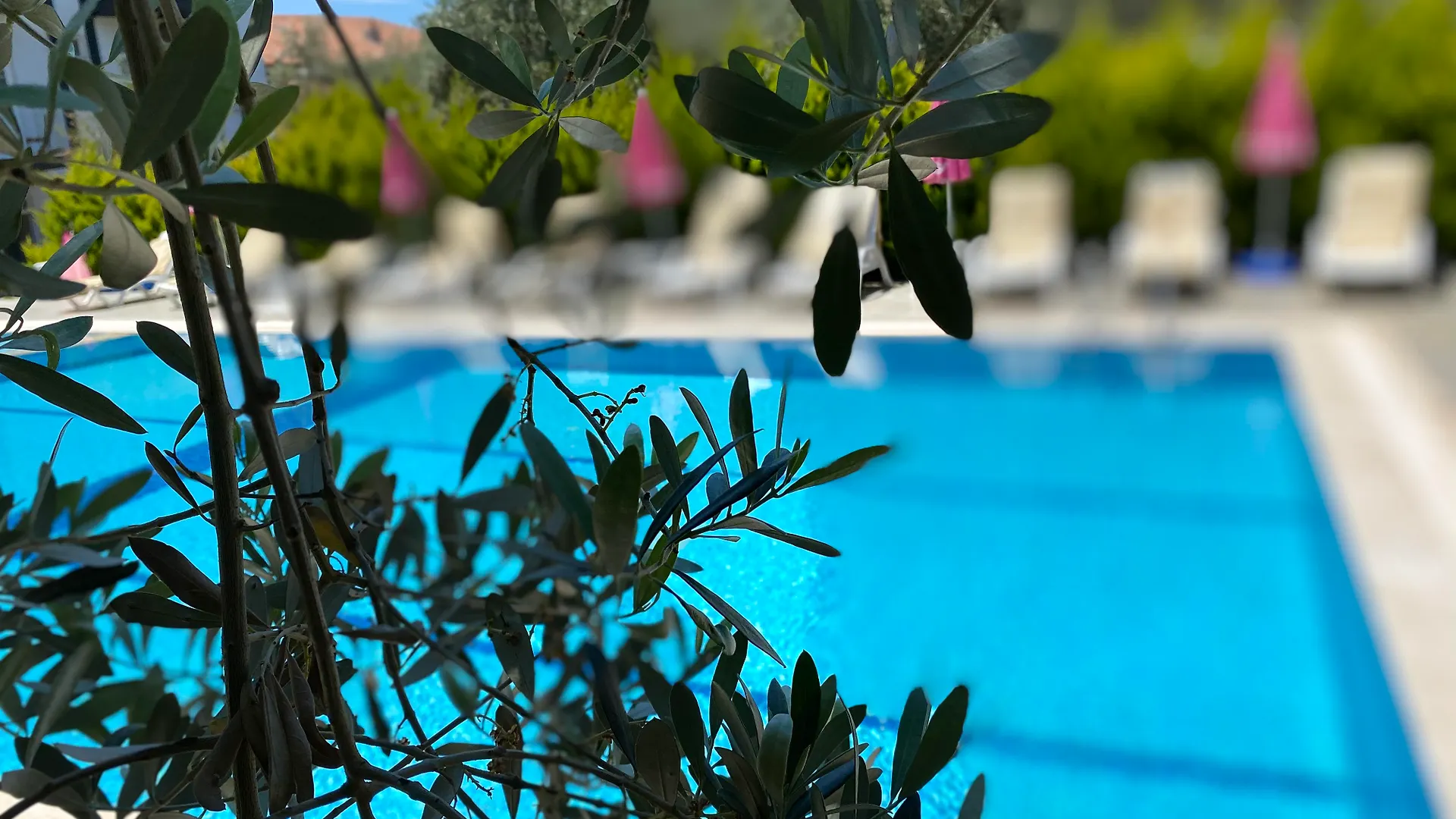 Doga Hotel Oludeniz